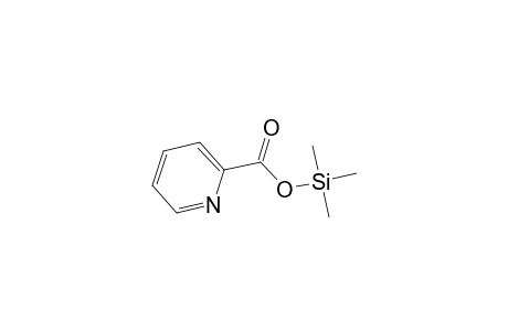 Picolinic acid trimethylsilyl ester