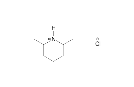 2,6-Dimethylpiperidine hydrochloride