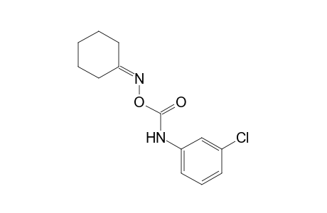 cyclohexanone, O-[(m-chlorophenyl)carbamoyl]oxime