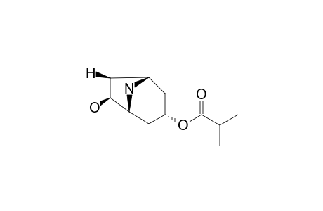 3.alpha.-Isobutyryloxy-7.beta.-hydroxynortropane