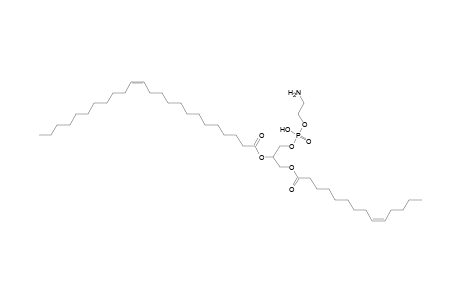 PE 14:1_24:1