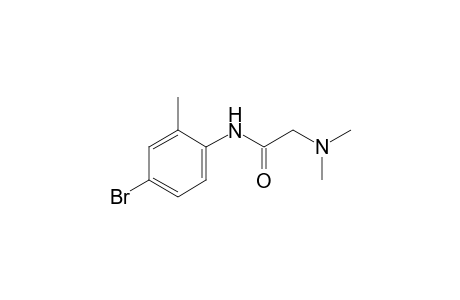 4'-bromo-2-(dimethylamino)-o-acetotoluidide