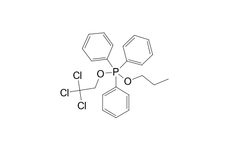 PHOSPHORANE-#2/8