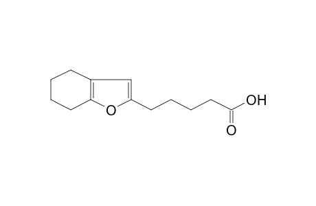 5-(4,5,6,7-Tetrahydrobenzofuran-2-yl)pentanoic acid