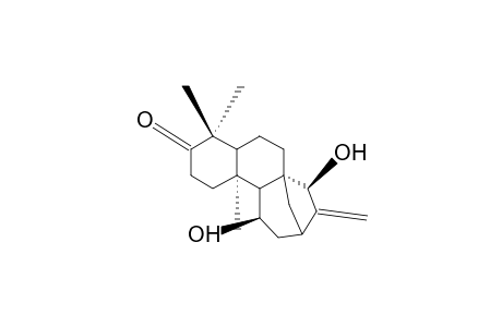 INFLEXARABDONIN J