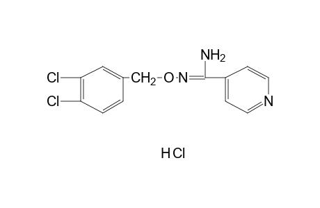 O-(3,4-DICHLOROBENZYL)ISONICOTINAMIDOXIME, MONOHYDROCHLORIDE