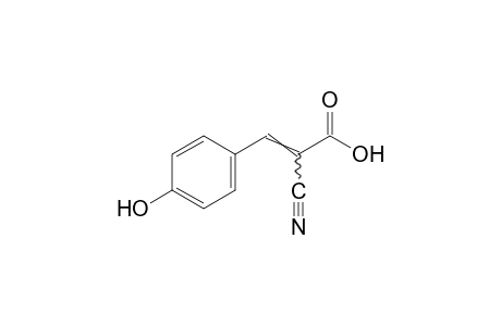 alpha-CYANO-p-HYDROXYCINNAMIC ACID