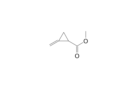 Methyl 2-methylenecyclopropanecarboxylate