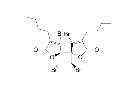 PULCHRALIDE_B