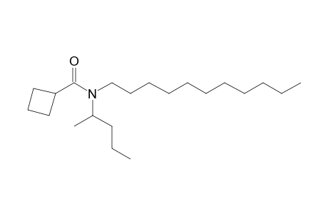 Cyclobutanecarboxamide, N-(2-pentyl)-N-undecyl-