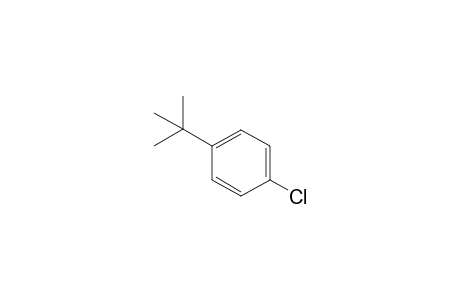 1-tert-Butyl-4-chloro-benzene