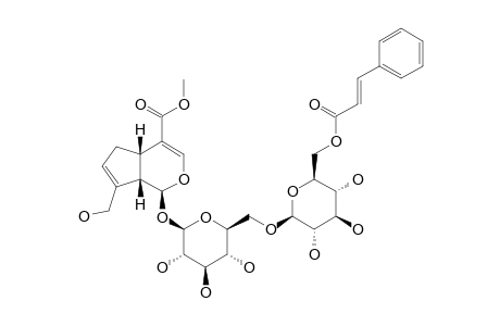 6''-O-TRANS-CINNAMOYLGENIPIN_GENTIOBIOSIDE