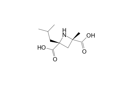 (-)-MONASCUMIC-ACID;(-)-SYN-2-ISOBUTYL-4-METHYLAZETIDINE-2,4-DICARBOXYLIC-ACID