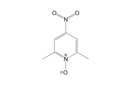 4-Nitro-2,6-lutidine-1-oxide