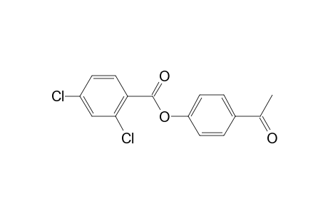 Benzoic acid, 2,4-dichloro-, 4-acetylphenyl ester