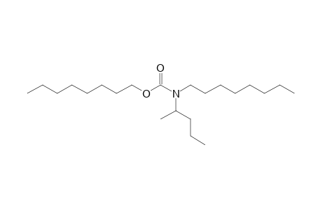 Carbonic acid, monoamide, N-(2-pentyl)-N-octyl-, octyl ester