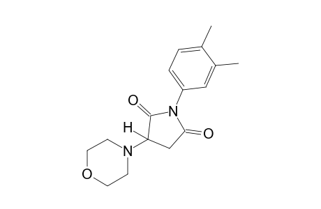 2-morpholino-N-(3,4-xylyl)succinimide