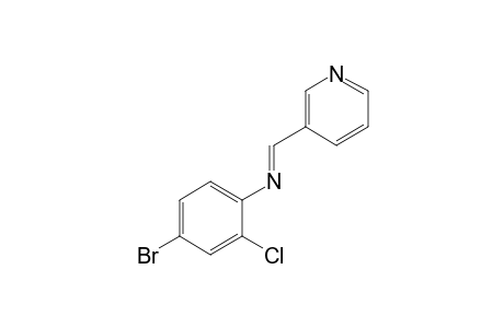 4-bromo-2-chloro-N-[(3-pyridyl)methylene]aniline