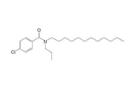 Benzamide, 4-chloro-N-propyl-N-dodecyl-