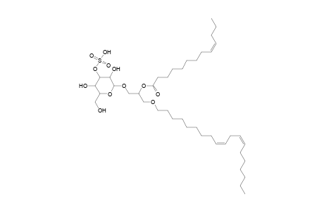 SMGDG O-19:2_13:1