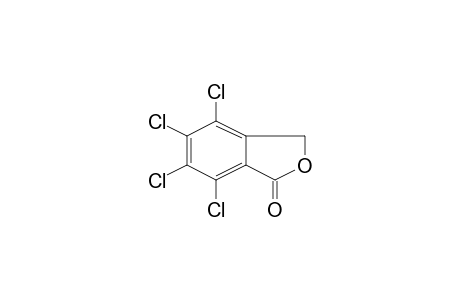 4,5,6,7-Tetrachloro-3H-isobenzofuran-1-one