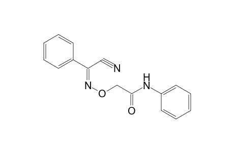 Acetamide, 2-[(cyano)(phenyl)methyleneaminooxy]-N-phenyl-