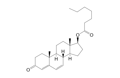 .delta.6-Testosterone Enanthate