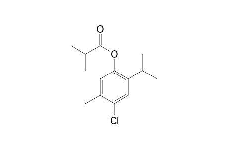 Chlorothymol, 2-methylpropionate