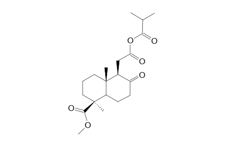 19-METHOXYCARBONYL-8-OXO-(13-17,19)-HEXANORLABDAN-12-OIC-ISOBUTYRIC-ANHYDRIDE