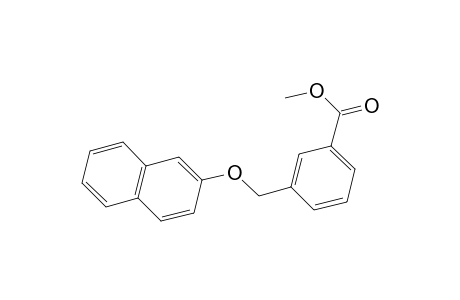 Methyl 3-[(2-naphthyloxy)methyl]benzoate