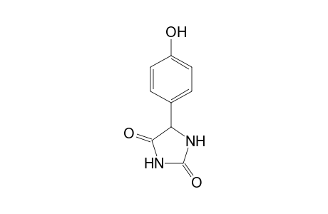 5-(p-hydroxyphenyl)hydantoin