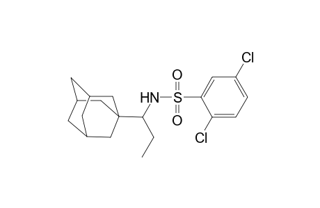 N-[1-(1-adamantyl)propyl]-2,5-bis(chloranyl)benzenesulfonamide