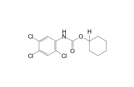 2,4,5-trichlorocarbanilic acid, cyclohexyl ester