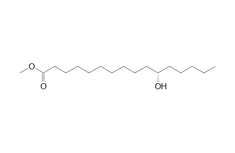 METHYL-(11S)-JALAPINOLATE