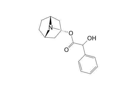 Homatropine