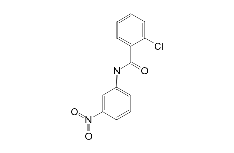 2-chloro-3'-nitrobenzanilide