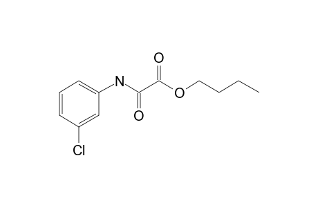 Oxalic acid, monoamide, N-(3-clorophenyl)-, butyl ester