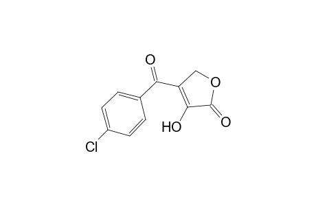 4-(4-CHLOROBENZOYL)-3-HYDROXY-2(5H)-FURANONE