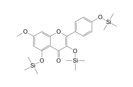 Rhamnicitrin, tri-TMS