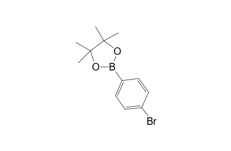 2-(4-Bromophenyl)-4,4,5,5-tetramethyl-1,3,2-dioxaborolane