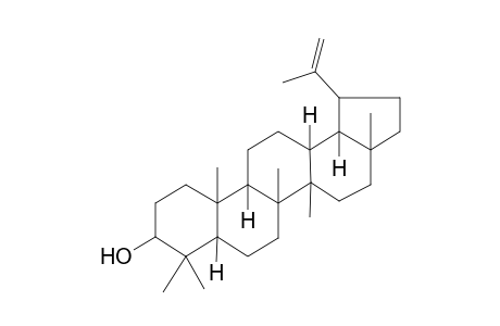 3-EPI-LUPEOL