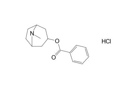 tropan-3-ol, benzoate(ester), hydrochloride