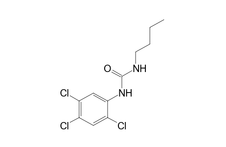 1-butyl-3-(2,4,5-trichlorophenyl)urea