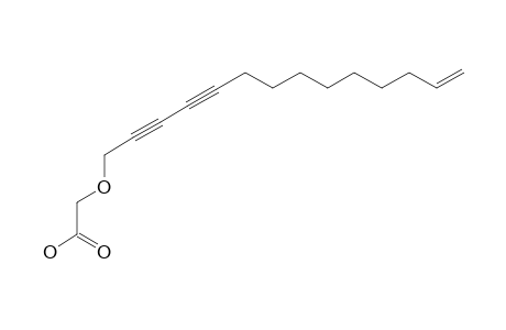 MONTIPORIC-ACID-B