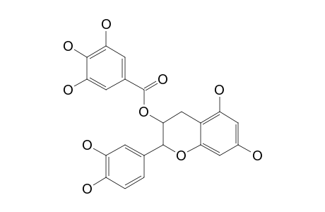 CATECHIN-7-O-GALLATE