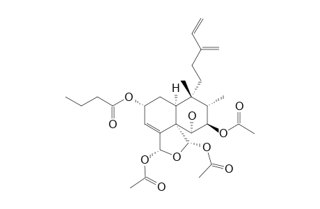 CASEANIGRESCEN_A