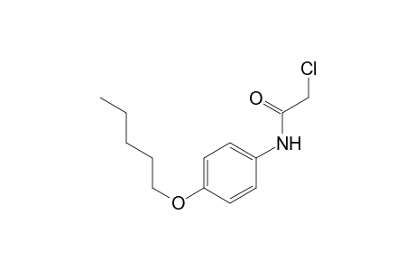 acetamide, 2-chloro-N-[4-(pentyloxy)phenyl]-