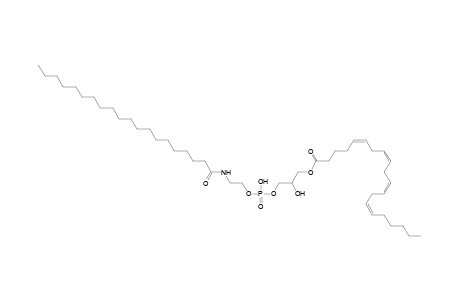 LNAPE 20:4/N-20:0