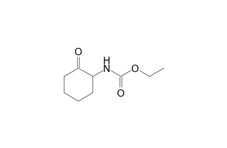 (R)-2-(Ethoxycarbonylamino)-cyclohexanone