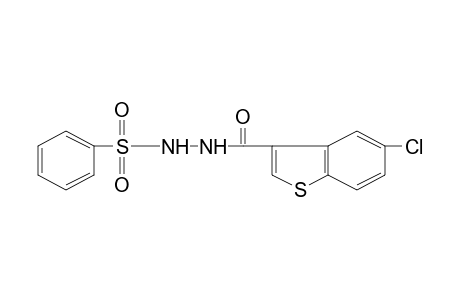 1-[(5-chlorobenzo[b]thien-3-yl)carbonyl]-2-(phenylsulfonyl)hydrazine